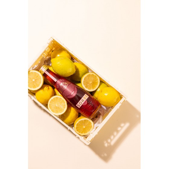 Sorbe Gourmet Reyhan 750 ml...