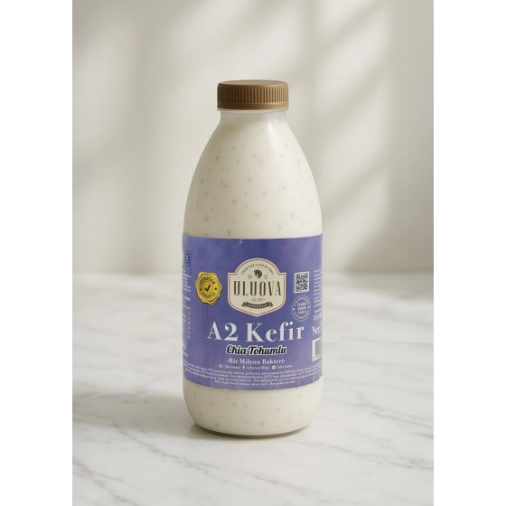 Chialı Jersey Kefir 1 L